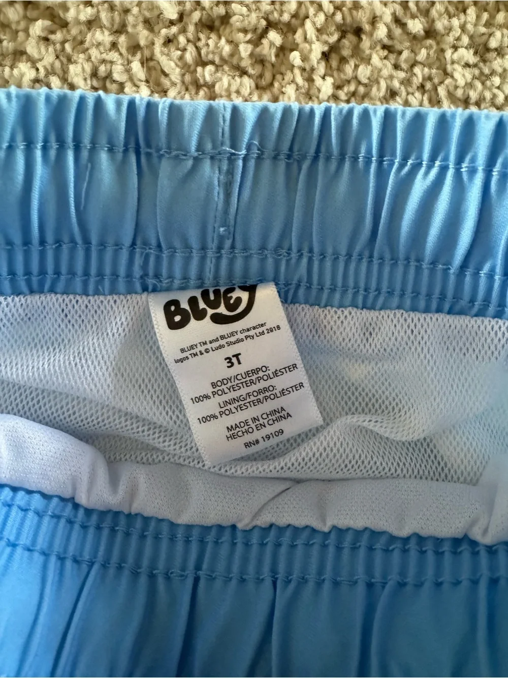NWT Bluey 3T two piece child swim set BRAND NEW